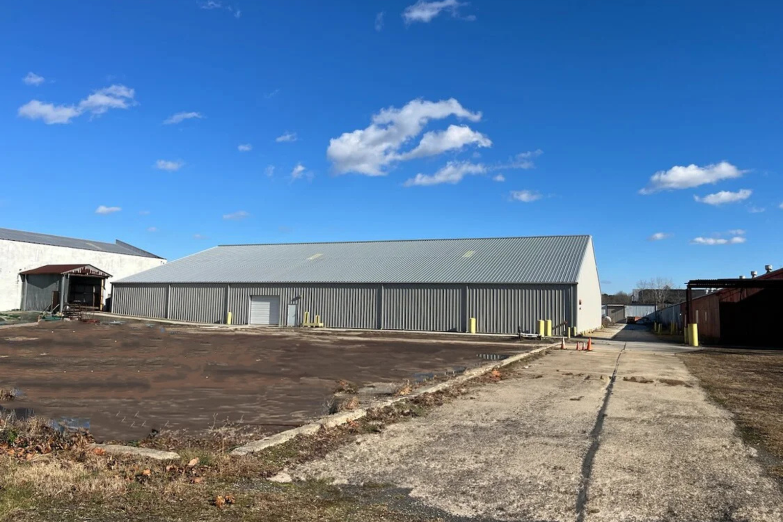 Untitled design (88)